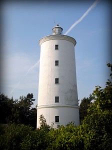 pic 003